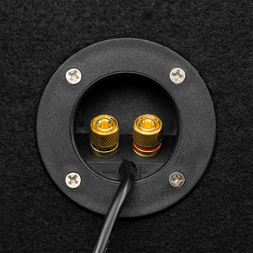EXCL-F150BASS1LD-PKG Ford F-150 2 x 10" Subwoofer carregado com caixa de som com acabamento em vinil e luzes LED Dream (FEITO NOS EUA)