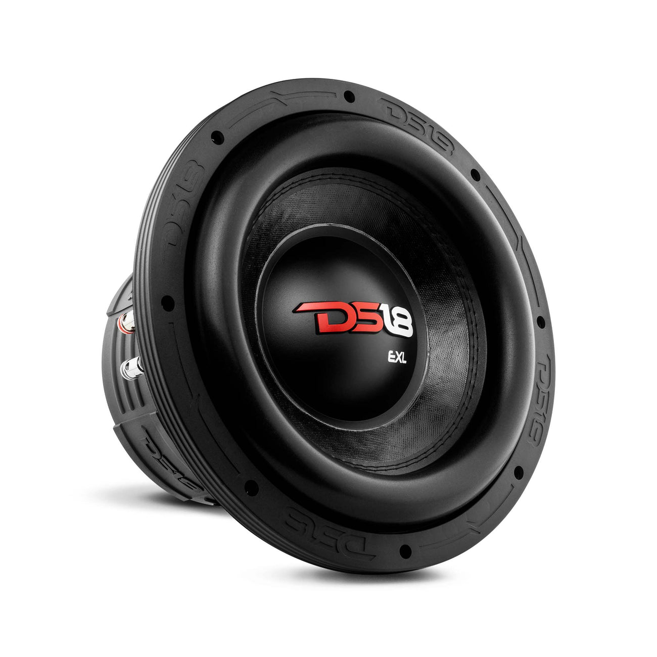 EXL-X10.2D 10" Subwoofer 850 Watts Rms DVC 2-Ohms