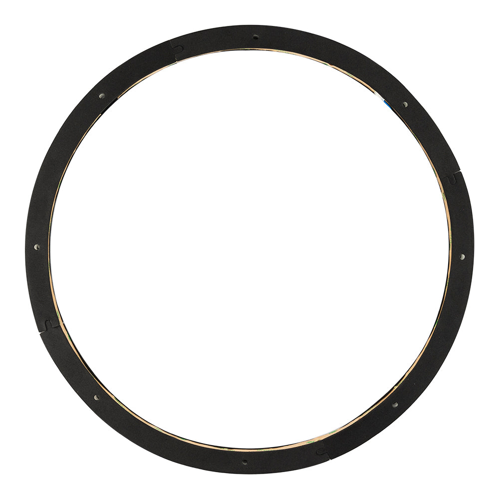 LRING15 RGB LED Ring for Speaker and Subwoofers