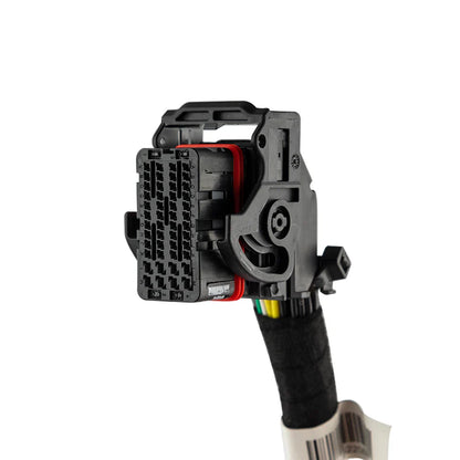 RY-HARNESS.HD Harley Davidson Plug and Play Harness For Amplifiers