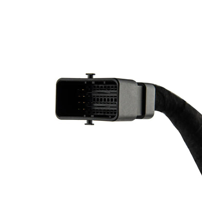 RY-HARNESS.HD Harley Davidson Plug and Play Harness For Amplifiers