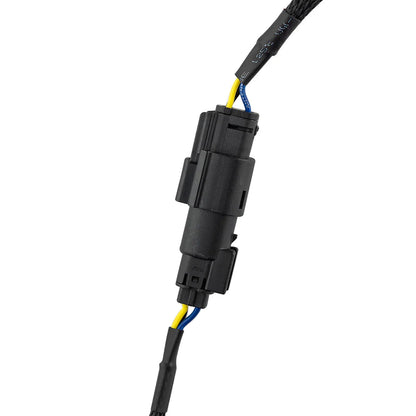 RY-HARNESS.HD Harley Davidson Plug and Play Harness For Amplifiers