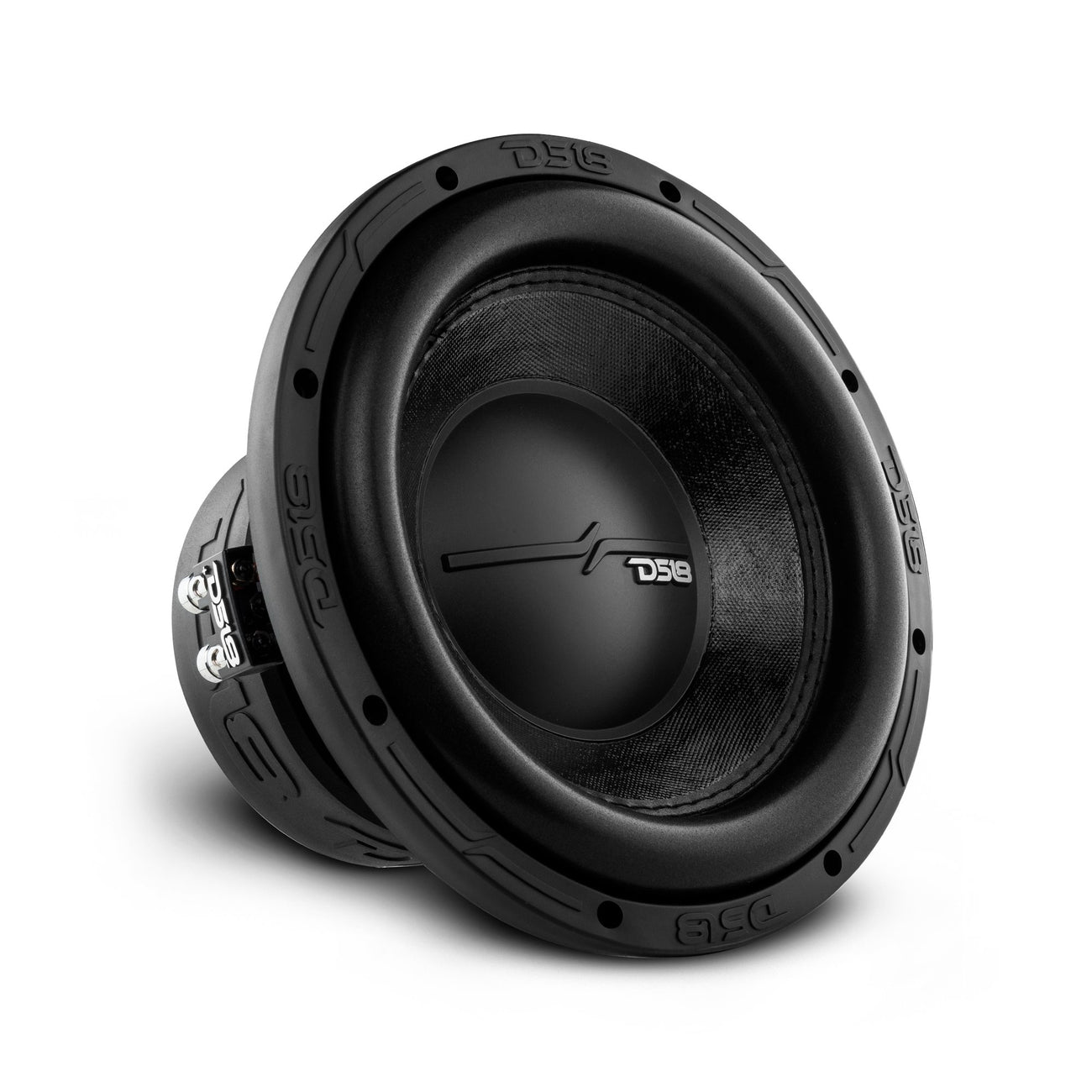 ZR10.2D 10" Subwoofer 700 Watts Rms DVC 2-Ohm